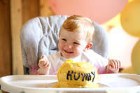 Brynlee's 1st Birthday!